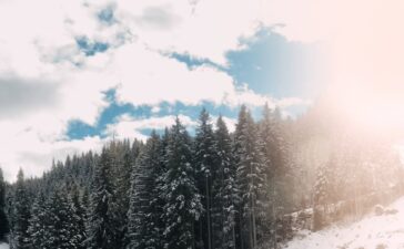 Bentley Continental GT by Brabus (2)