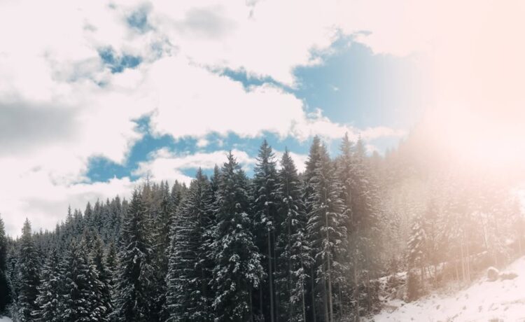 Bentley Continental GT by Brabus (2)