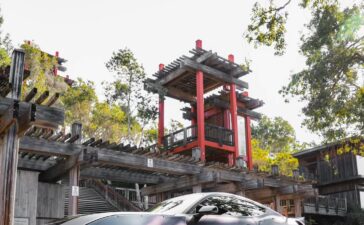 Ford Mustang S650 by Pandem (8)