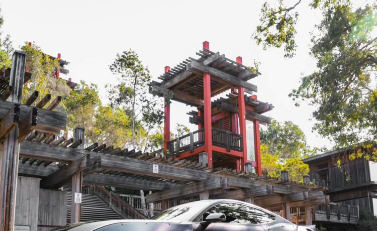 Ford Mustang S650 by Pandem (8)