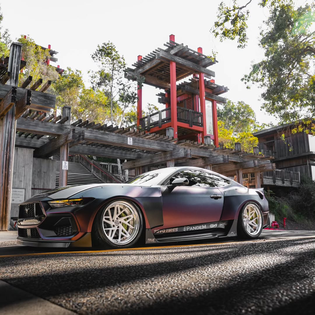 Ford Mustang S650 by Pandem (8)