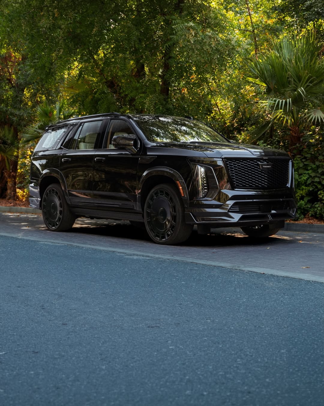 Cadillac Escalade by Mansory (11)